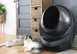 The Benefits of a Cat Litter Robot in 2023: A Comprehensive Guide