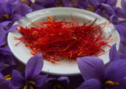 The Ultimate Guide to Saffron: Health Benefits, Uses, and More in 2023