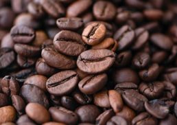 An In-Depth Guide to Arabica Coffee: The Superior Brew