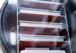 The Ultimate Guide to Buying a Home Freeze Dryer in 2023