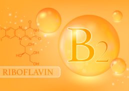What is Riboflavin – An Overview of Vitamin B2
