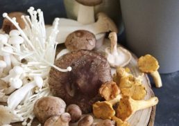 Delicious Enoki Mushroom Recipes for Every Taste