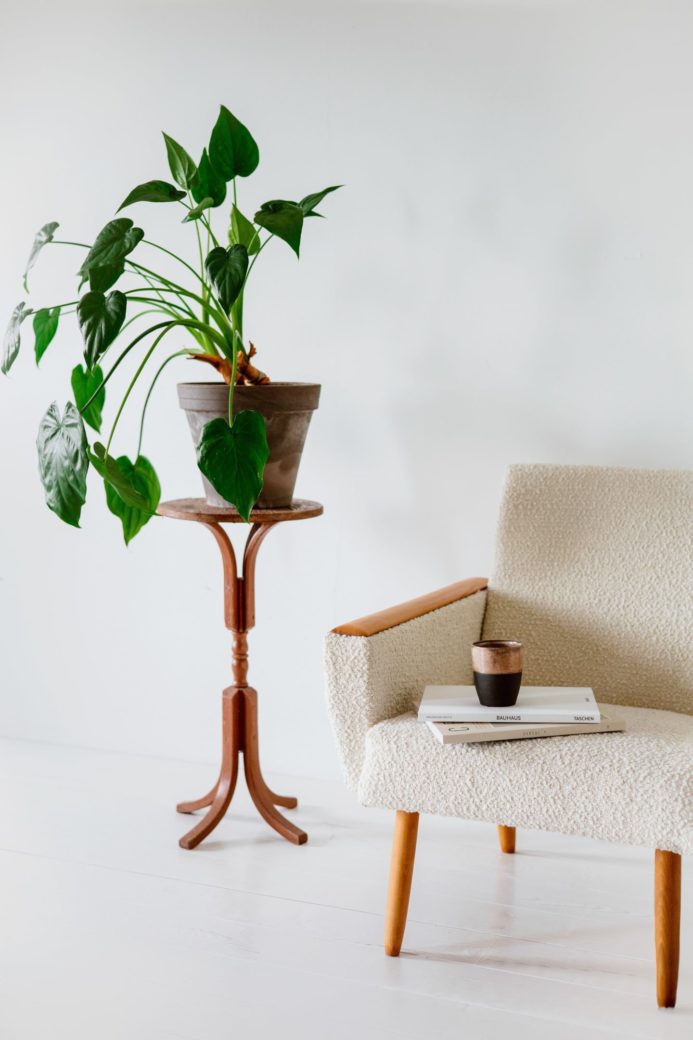 Photo by Anna Nekrashevich: https://www.pexels.com/photo/armchair-next-to-an-artificial-plant-8988952/