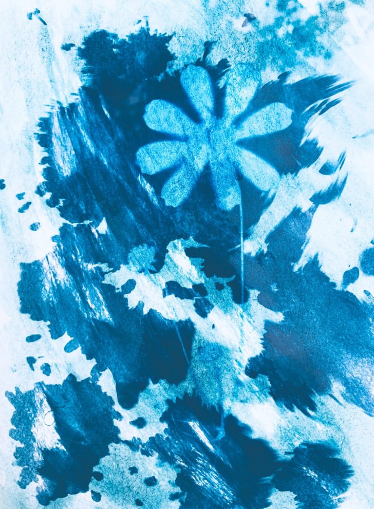 Photo by Ekaterina: https://www.pexels.com/photo/flower-in-the-style-of-cyanotype-photography-12203460/