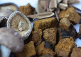 Discover the Health Benefits of Chaga Mushroom: A Holistic Approach