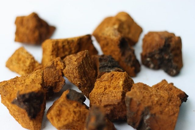 chaga, adaptogen, chaga mushroom