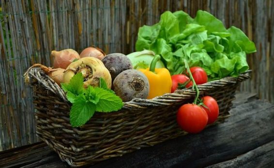 The Ultimate Guide to Organic Harvest: Discover the Benefits, Tips, and Recipes