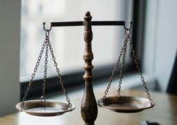 Top Degree Law Programs and Career Paths