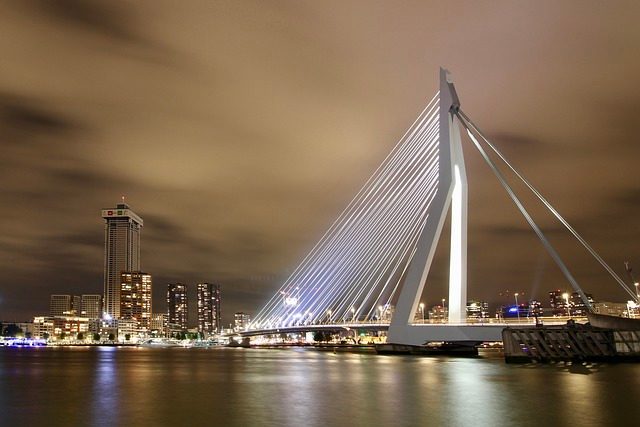erasmus bridge, evening, architecture