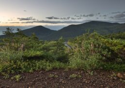 Discover Tohoku: A Travel Guide to Northern Japan