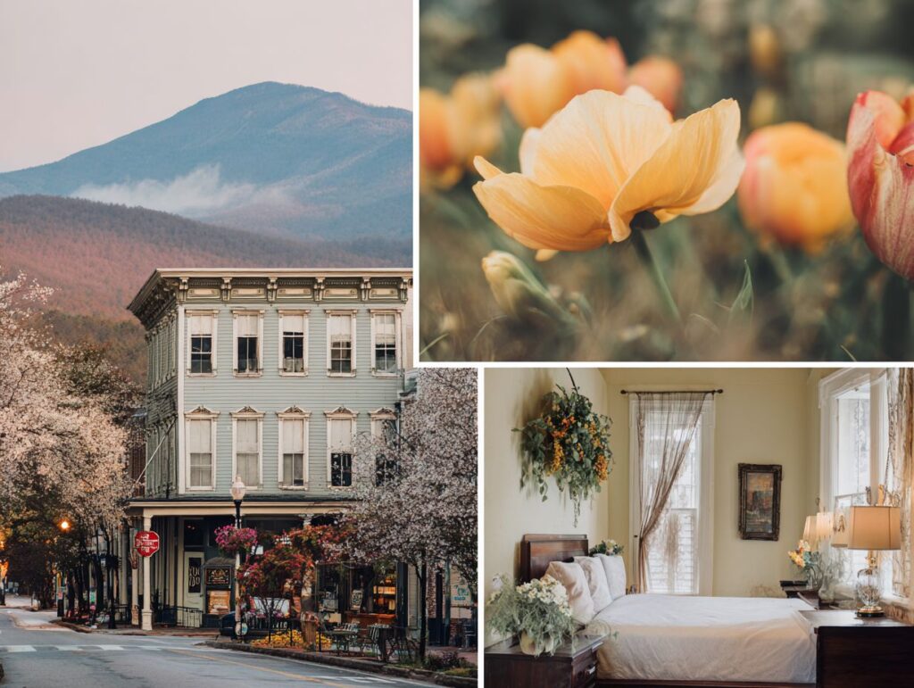 georgia travel guide 2025 where to eat stay and explore in the peach state 6A Georgia Travel Guide 2025: Where to Eat, Stay, and Explore in the Peach State