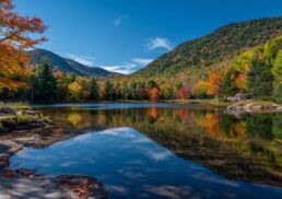 Why Vermont Is the Perfect Destination for Nature Lovers