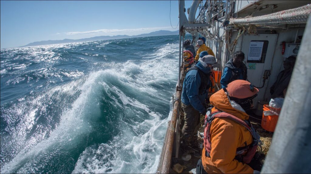 careers in water marine sciences what you need to know If Careers in Water & Marine Sciences: What You Need to Know