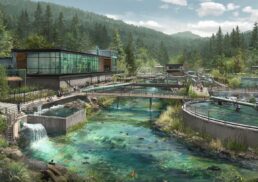 How Modern Water Treatment Protects Communities and the Environment