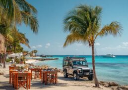 Top 10 Things to Do in Aruba: Beaches, Dining & Island Adventures