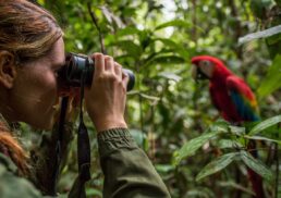 Birdwatching 101: Tips for Spotting Rare and Exotic Species