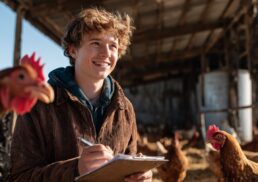 How to Start a Livestock Business: Essential Tips for Beginners