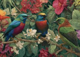 Top 10 Most Beautiful Birds in the World: A Guide for Nature Lovers