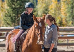 How to Get Started in Equestrian Sports in 2026: Tips for New Riders