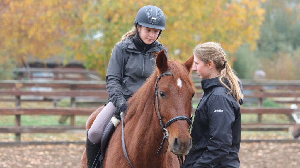 how to get started in equestrian sports in 2026 tips for new riders YW How to Get Started in Equestrian Sports in 2026: Tips for New Riders