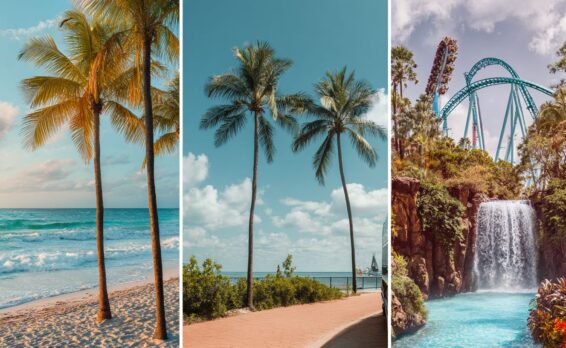 Top 10 Things to Do in Florida in 2026: Beaches, Theme Parks & Hidden Getaways