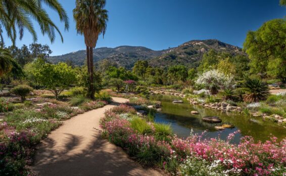 Top Regional Parks & Gardens to Visit in 2026: Nature, Design & Outdoor Escapes